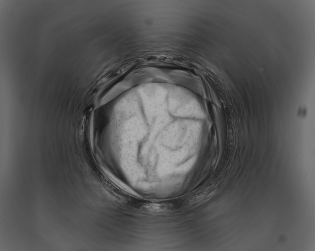 X0000090930558200708271046