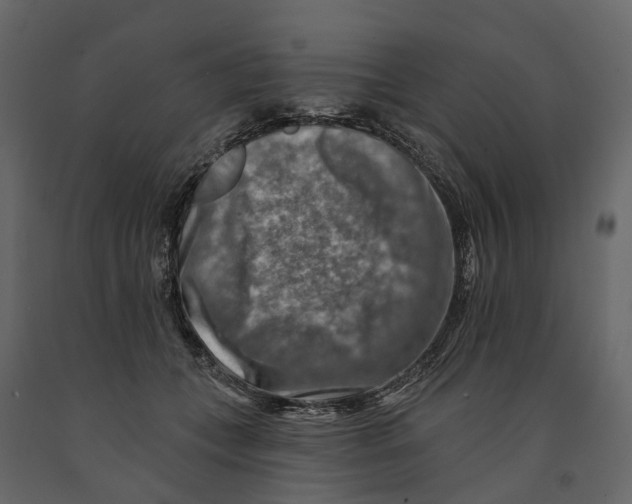 X0000090930559200708271046