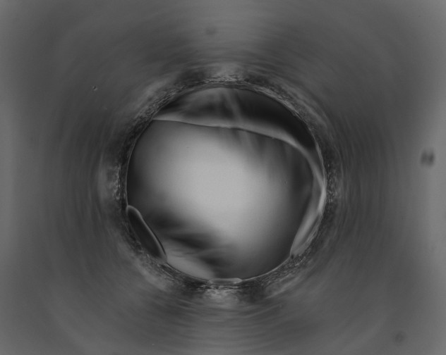 X0000090930560200708271046