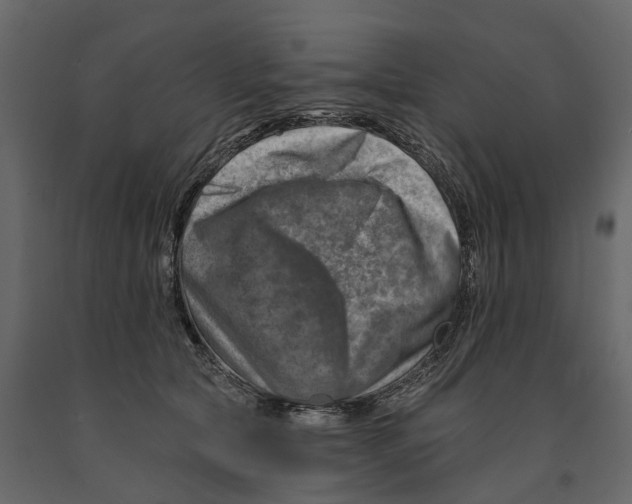 X0000090930561200708271046