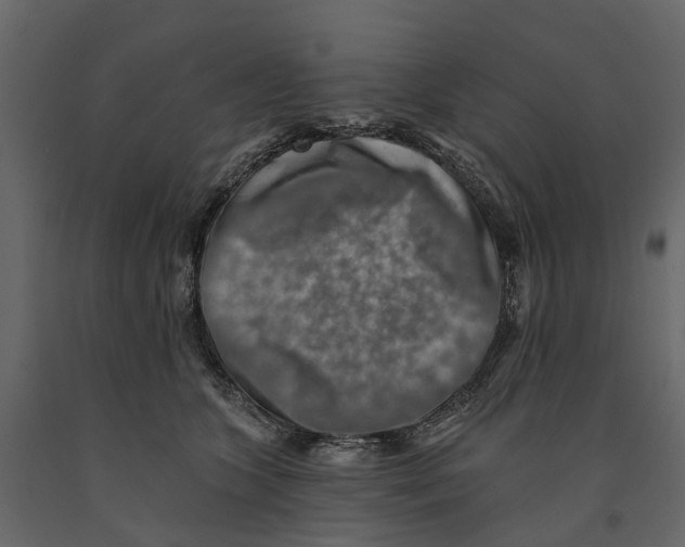 X0000090930563200708271046