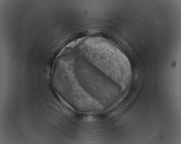 X0000090930565200708271046