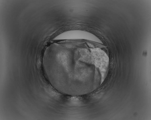 X0000090930566200708271047