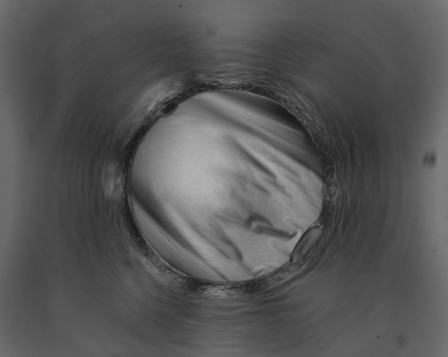 X0000090930568200708271047