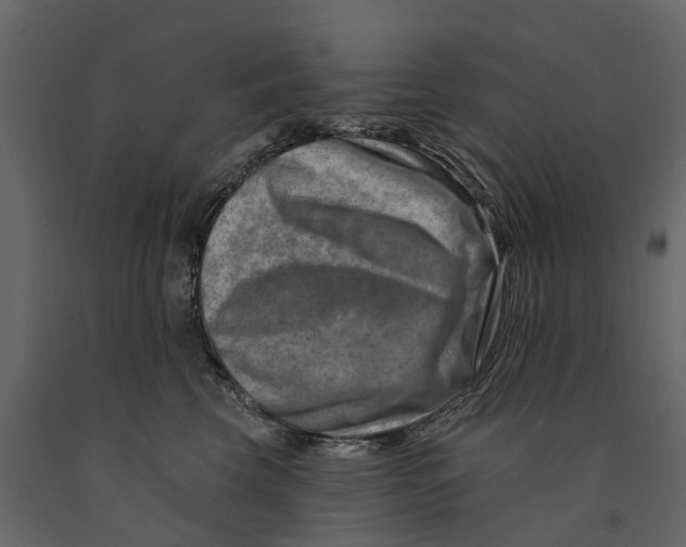 X0000090930569200708271047