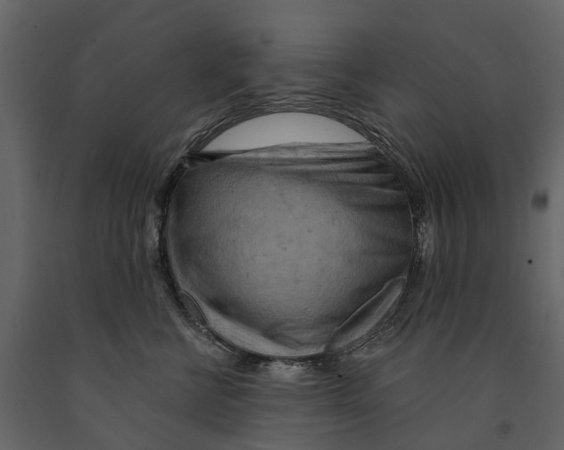 X0000090930570200708271047