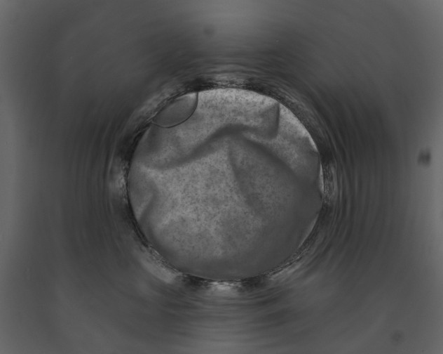 X0000090930573200708271047