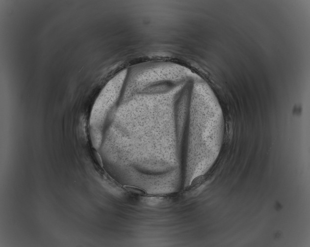 X0000090930575200708271047