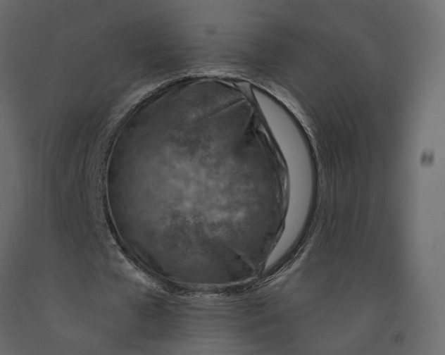 X0000090930577200708271046