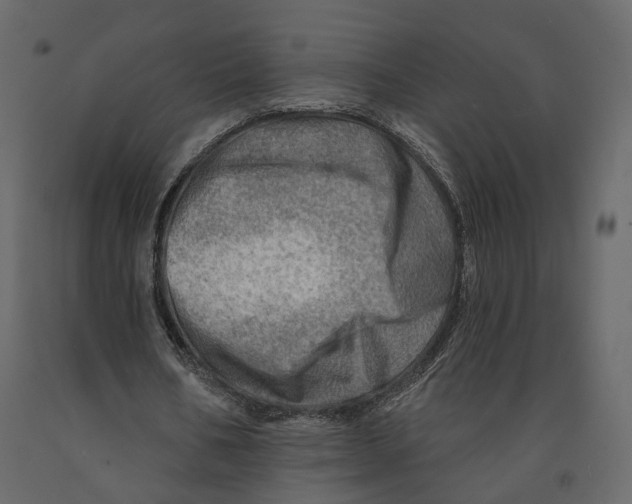 X0000090930578200708271046