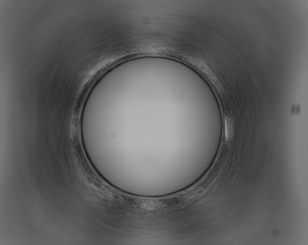 X0000090930579200708271046