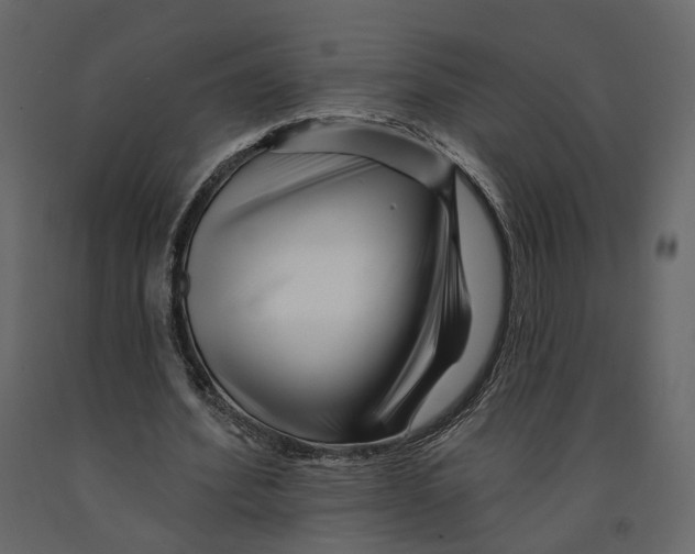 X0000090930580200708271046