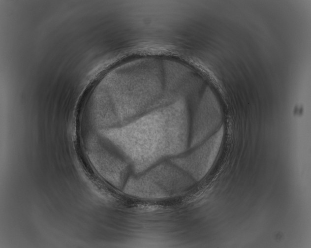 X0000090930582200708271046