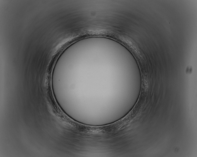 X0000090930583200708271046