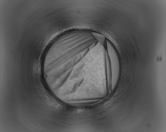 X0000090930584200708271046