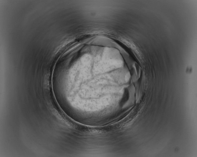 X0000090930585200708271046