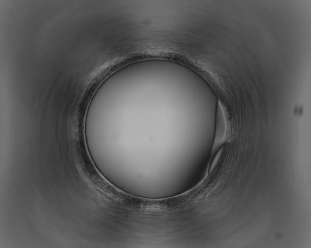 X0000090930587200708271046