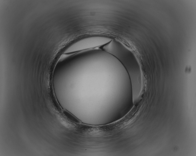 X0000090930589200708271046