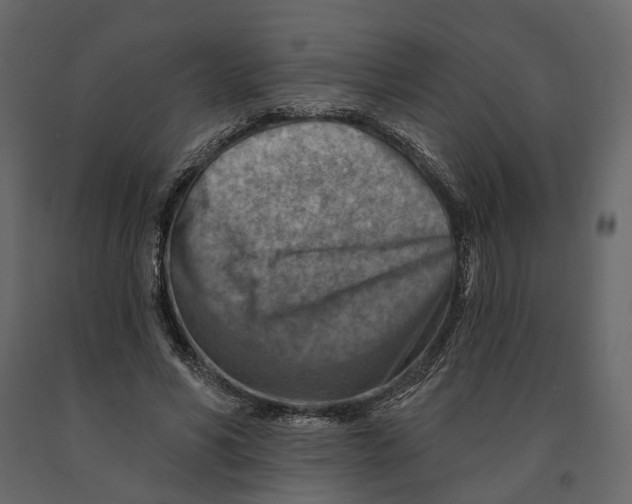 X0000090930590200708271046