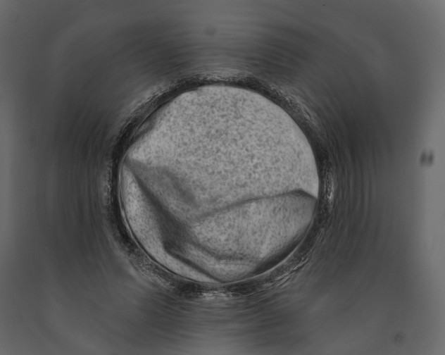 X0000090930591200708271046