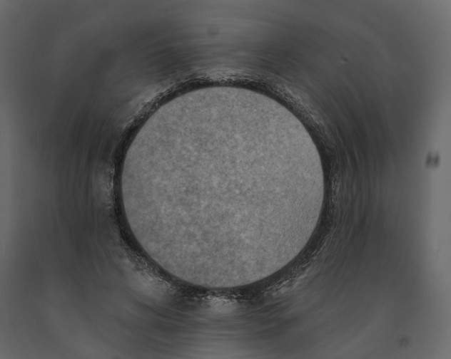 X0000090930592200708271046