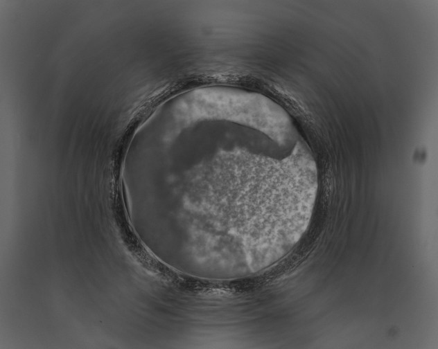 X0000090930594200708271046