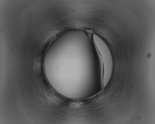 X0000090930595200708271046