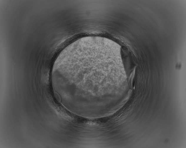 X0000090930596200708271046