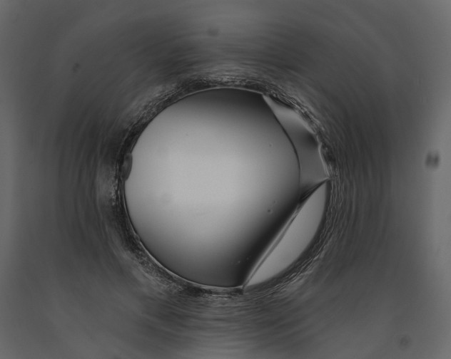 X0000090930597200708271046