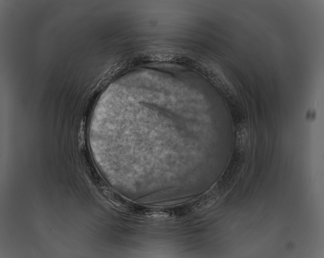 X0000090930598200708271046