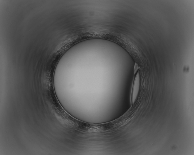 X0000090930599200708271046