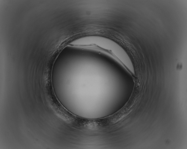 X0000090930600200708271046