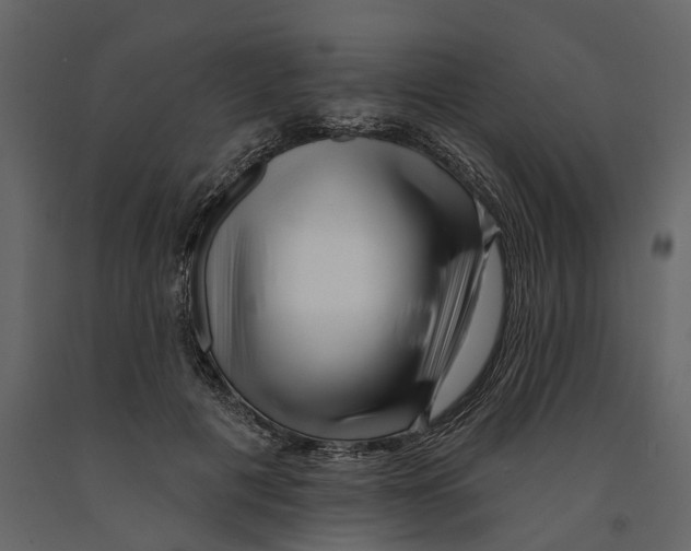 X0000090930601200708271046