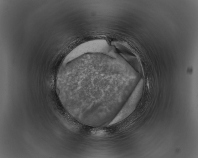 X0000090930602200708271046