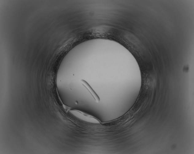 X0000090930603200708271046