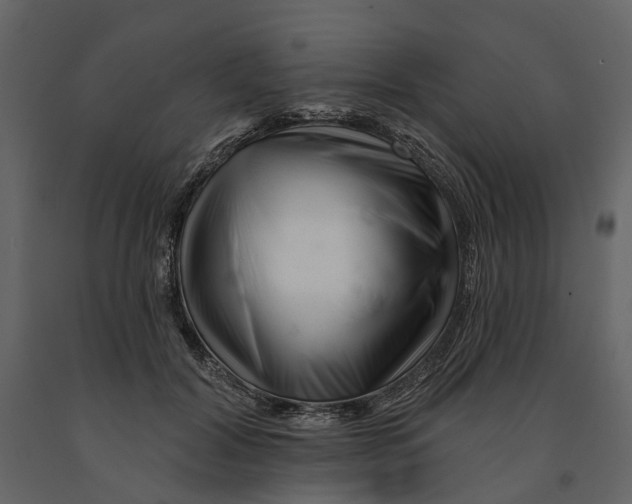 X0000090930604200708271046