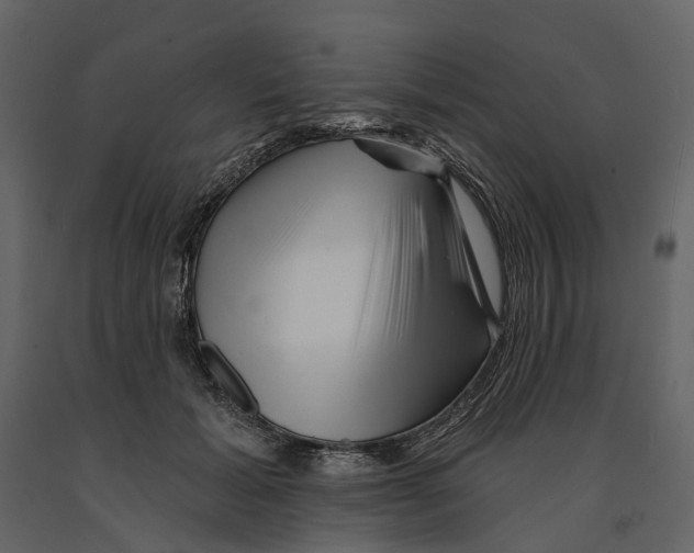 X0000090930605200708271046