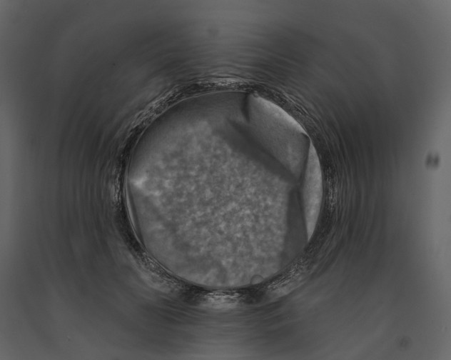 X0000090930606200708271046