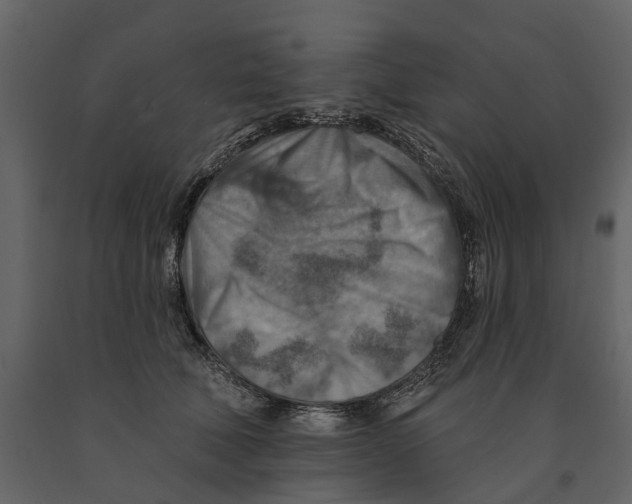 X0000090930610200708271046