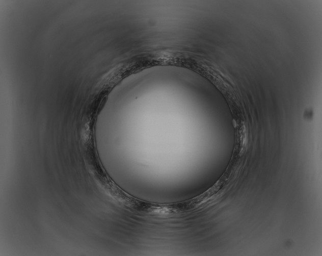 X0000090930611200708271046