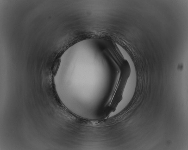 X0000090930613200708271046