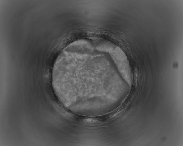 X0000090930614200708271046