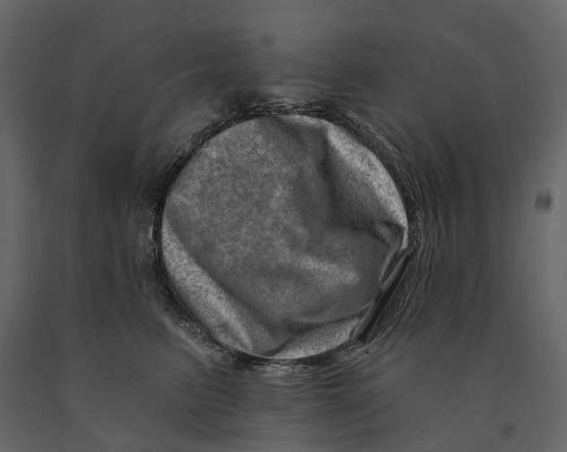 X0000090930615200708271046