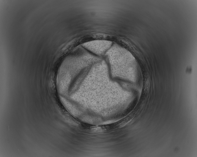 X0000090930616200708271046