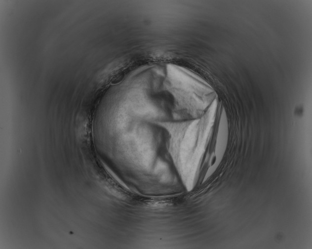 X0000090930619200708271046