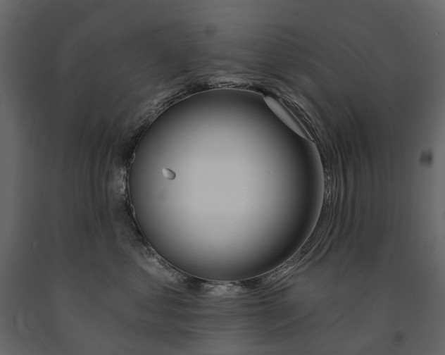 X0000090930621200708271045