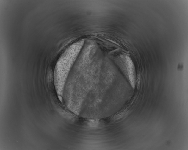 X0000090930623200708271045