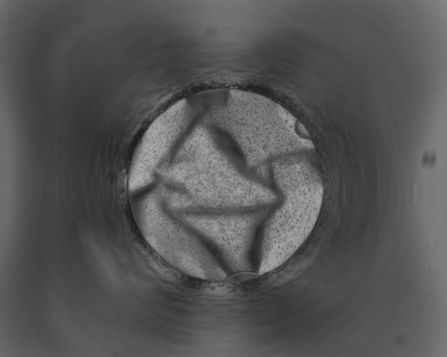 X0000090930624200708271045