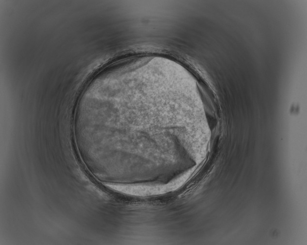 X0000090930625200708271045