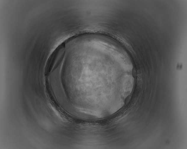 X0000090930626200708271045